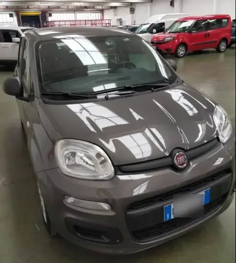 Annonce FIAT PANDA Hybride 2021 d'occasion 