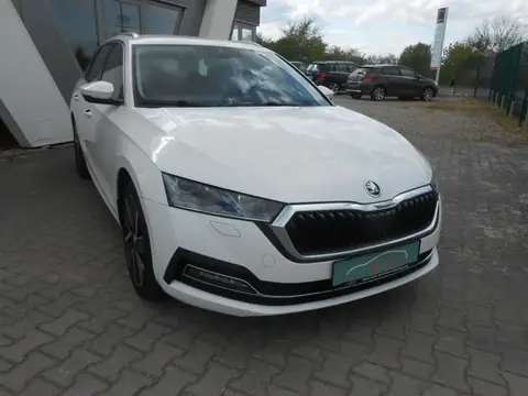 Used SKODA OCTAVIA Hybrid 2020 Ad 