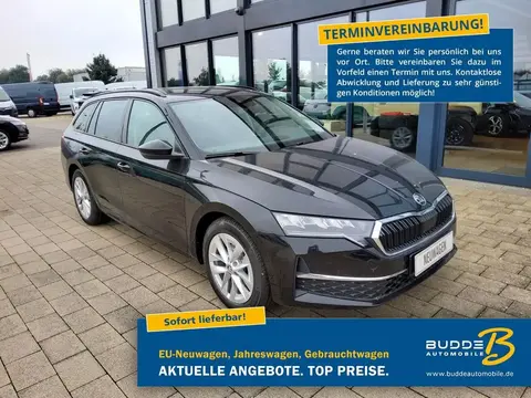 Used SKODA OCTAVIA Petrol 2024 Ad 