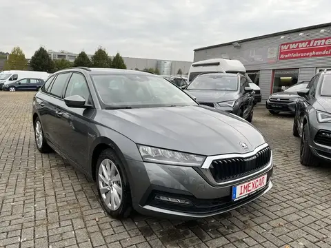 Used SKODA OCTAVIA Petrol 2024 Ad 