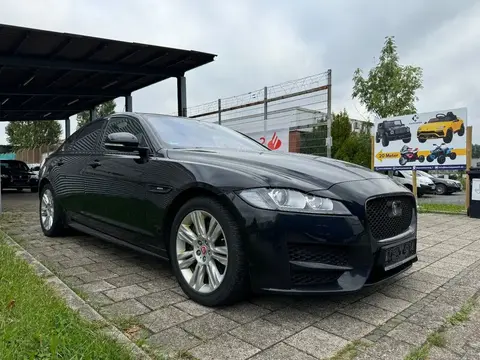 Used JAGUAR XF Diesel 2017 Ad 