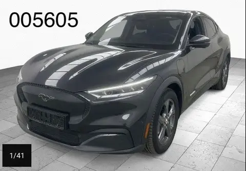 Used FORD MUSTANG Not specified 2022 Ad 