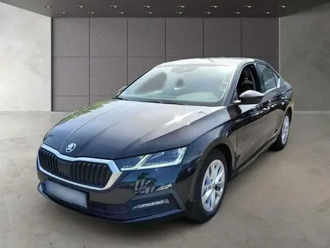 Annonce SKODA OCTAVIA Diesel 2021 d'occasion 