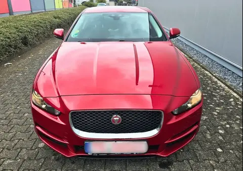 Used JAGUAR XE Diesel 2015 Ad 