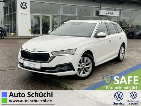 Used SKODA OCTAVIA Diesel 2020 Ad 