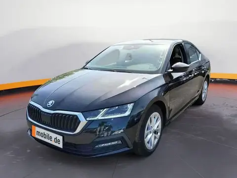 Annonce SKODA OCTAVIA Diesel 2021 d'occasion 