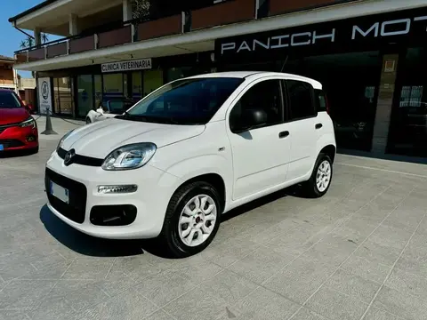 Annonce FIAT PANDA  2018 d'occasion 