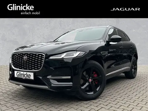 Used JAGUAR F-PACE Hybrid 2023 Ad 