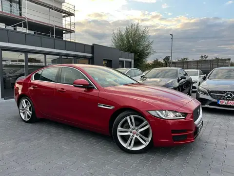 Annonce JAGUAR XE Diesel 2015 d'occasion 