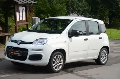 Annonce FIAT PANDA Essence 2017 d'occasion 