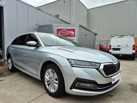 Used SKODA OCTAVIA Diesel 2020 Ad 