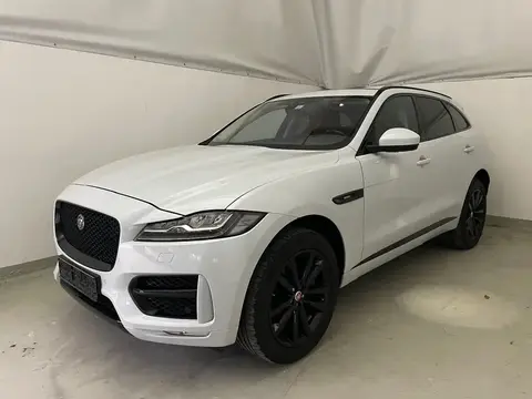 Annonce JAGUAR F-PACE Essence 2016 d'occasion 