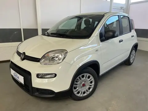 Used FIAT PANDA Petrol 2024 Ad 