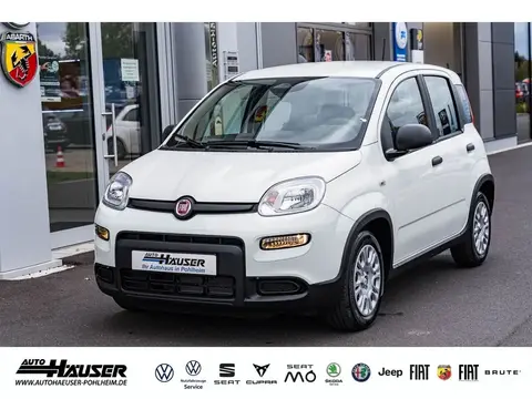 Used FIAT PANDA Petrol 2024 Ad 