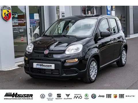 Used FIAT PANDA Petrol 2024 Ad 