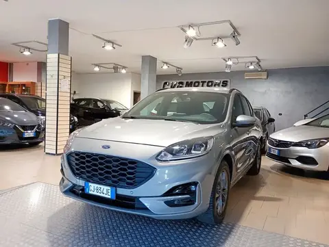 Used FORD KUGA Diesel 2022 Ad 