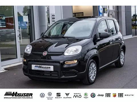 Used FIAT PANDA Petrol 2024 Ad 