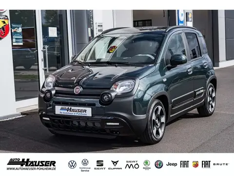 Annonce FIAT PANDA Essence 2024 d'occasion 