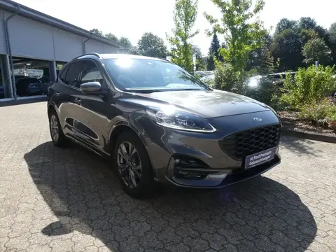 Used FORD KUGA Petrol 2022 Ad 