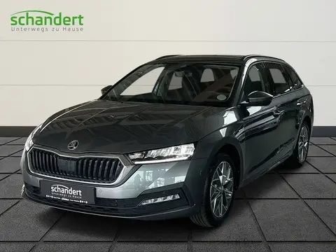 Used SKODA OCTAVIA Petrol 2023 Ad 