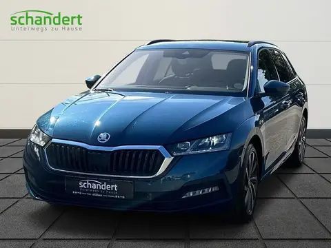 Annonce SKODA OCTAVIA Diesel 2023 d'occasion 