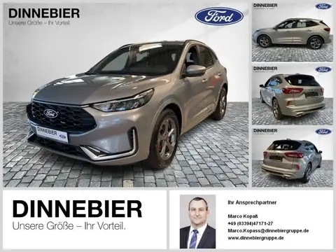 Annonce FORD KUGA Hybride 2024 d'occasion 