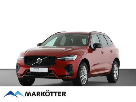 Annonce VOLVO XC60 Essence 2024 d'occasion 