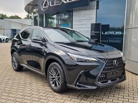 Annonce LEXUS NX Hybride 2024 d'occasion 