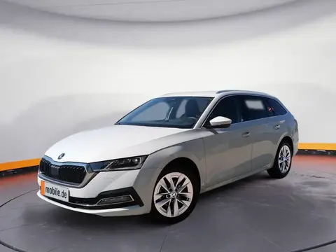 Annonce SKODA OCTAVIA Diesel 2023 d'occasion 