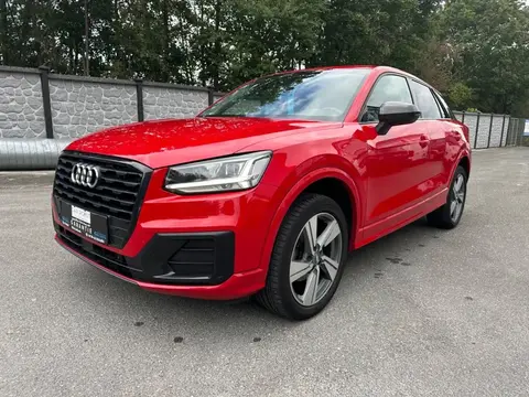 Annonce AUDI Q2 Diesel 2019 d'occasion Allemagne