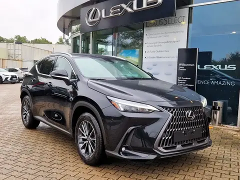 Used LEXUS NX Hybrid 2024 Ad 