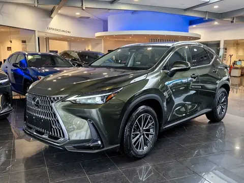 Annonce LEXUS NX Hybride 2024 d'occasion 