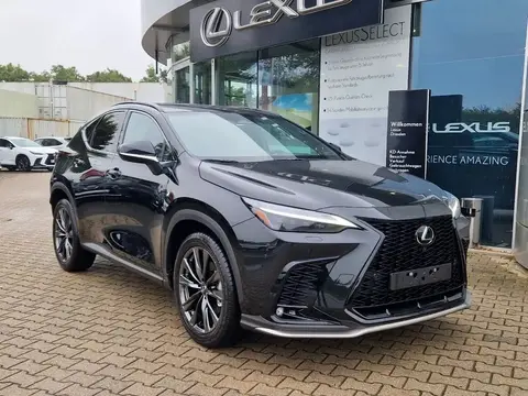 Used LEXUS NX Hybrid 2024 Ad 