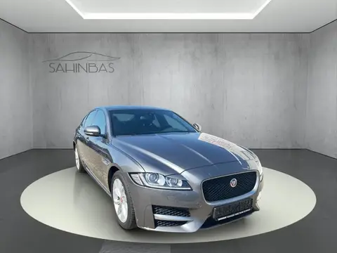 Annonce JAGUAR XF Essence 2018 d'occasion 