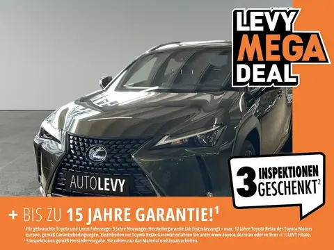 Used LEXUS UX Hybrid 2021 Ad 