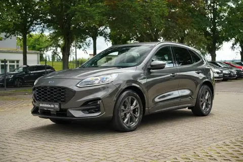 Used FORD KUGA Diesel 2022 Ad 