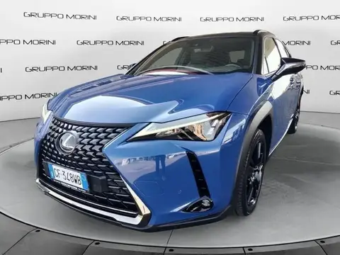 Used LEXUS UX Hybrid 2021 Ad 