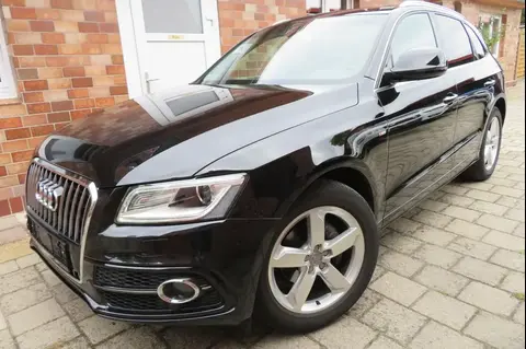 Used AUDI Q5 Diesel 2016 Ad 