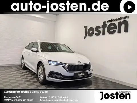 Used SKODA OCTAVIA Diesel 2024 Ad 