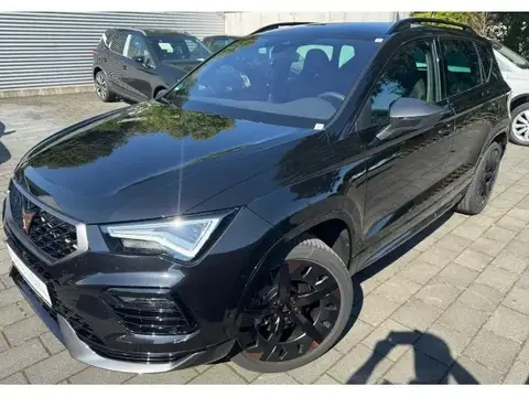 Used CUPRA ATECA Petrol 2023 Ad 