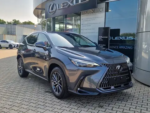 Used LEXUS NX Hybrid 2024 Ad 