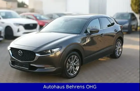 Used MAZDA CX-30 Petrol 2020 Ad 