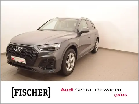 Used AUDI Q5 Diesel 2021 Ad 