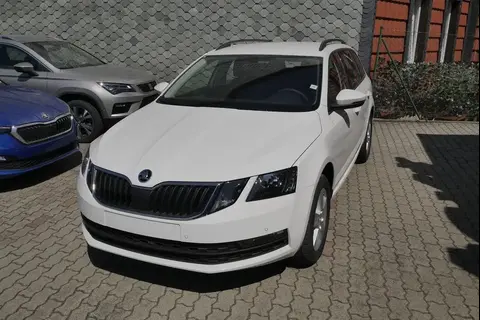 Used SKODA OCTAVIA Petrol 2019 Ad 