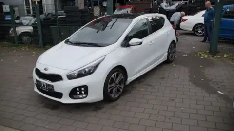 Used KIA CEED Petrol 2016 Ad 