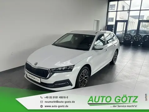 Used SKODA OCTAVIA Diesel 2023 Ad 