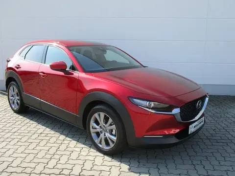 Annonce MAZDA CX-30 Essence 2021 d'occasion 