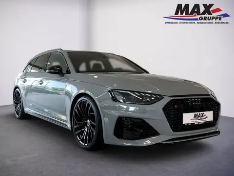 Used AUDI RS4 Petrol 2023 Ad 