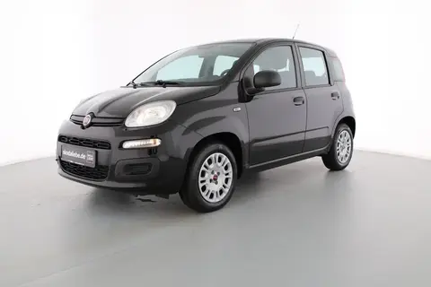 Used FIAT PANDA Petrol 2019 Ad 