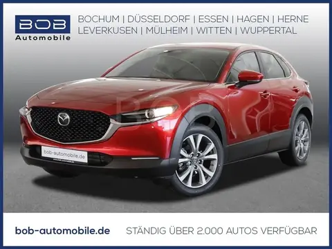 Annonce MAZDA CX-30 Essence 2024 d'occasion 